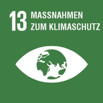 13 SDG