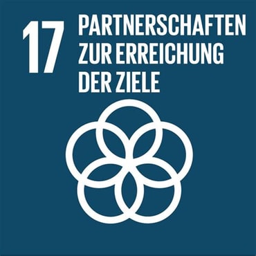 17 SDG